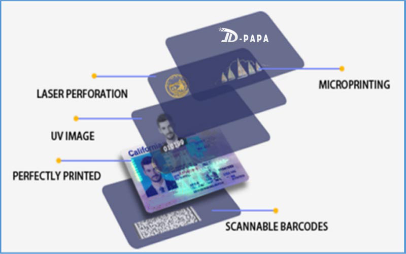 fake id website at idpapa